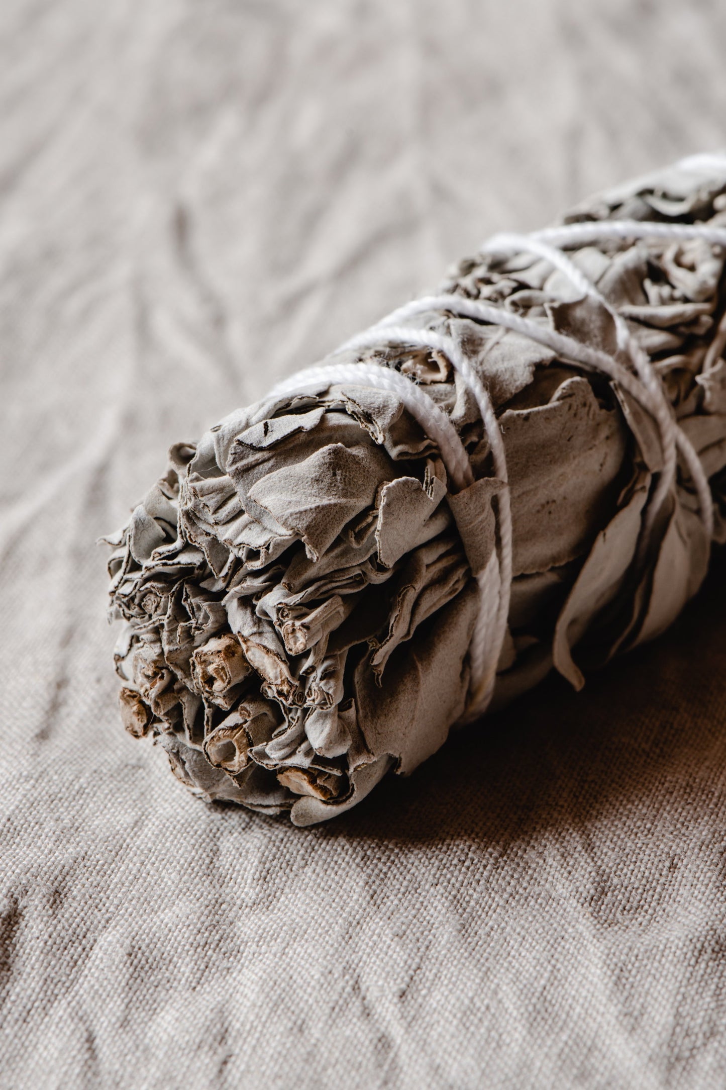 Organic White Sage Bundle – Natural Cleansing & Aromatherapy