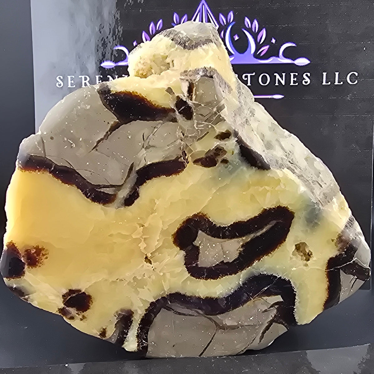 Septarian Polished Face Natural back Dragon Stone 5lbs